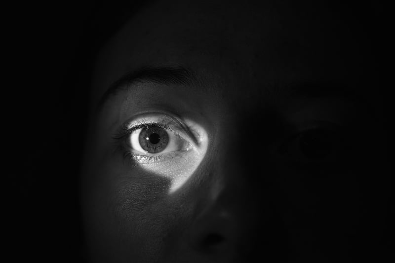 Spy in the Shadows